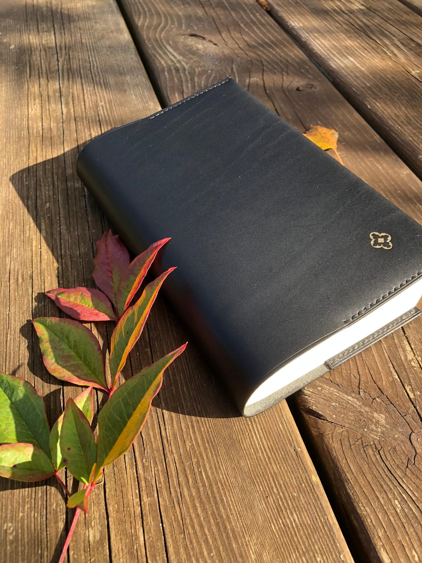 Couvre-livre / liseuse format poche