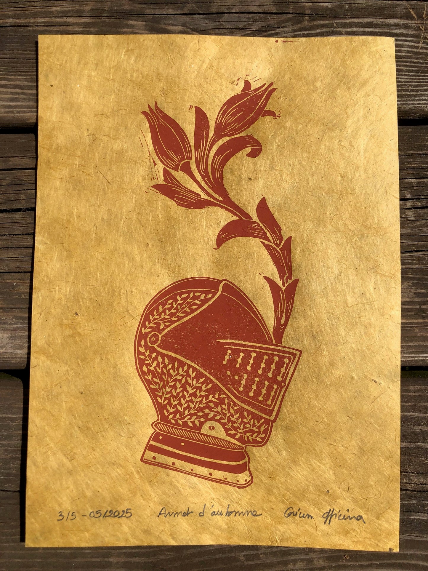 Knights & Crafts : Tulipe et Armet